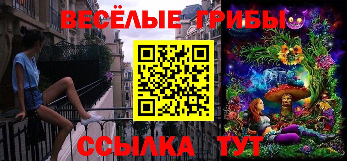 Галлюциногенные грибы Psilocybine cubensis Ангарск