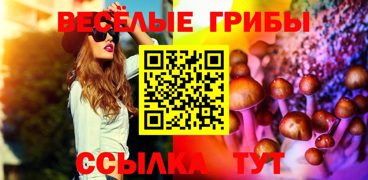 Ангарск  Псилоцибиновые грибы GOLDEN TEACHER  Вход с VPN  Псилоцибиновые грибы мухоморы 